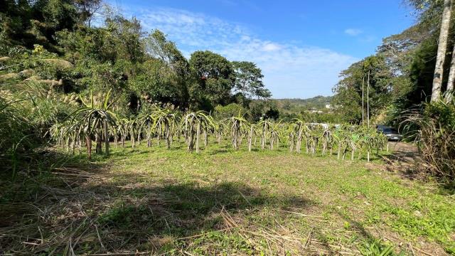 新竹峨眉農地_山坡地-7