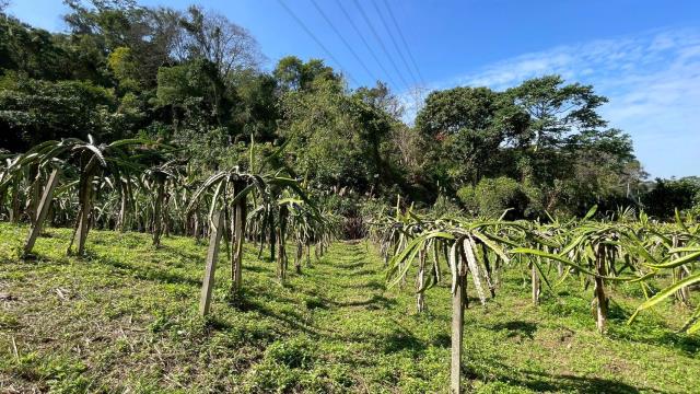新竹峨眉農地_山坡地-8