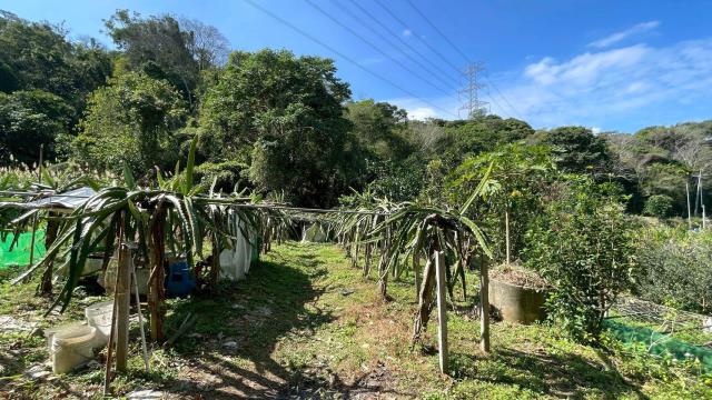 新竹峨眉農地_山坡地-9
