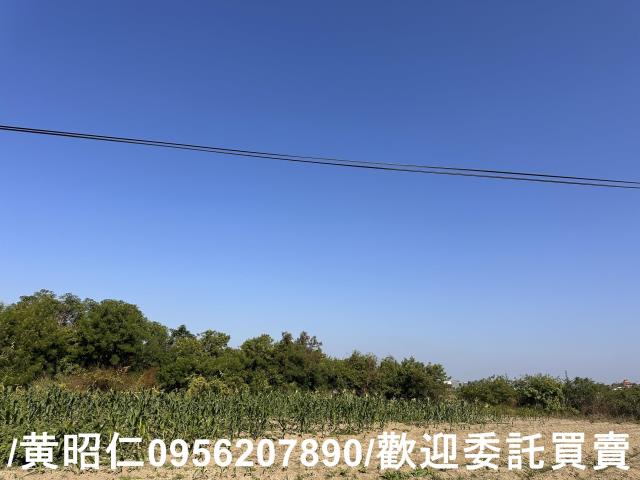 台南安南農地-2