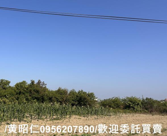 台南安南農地-5