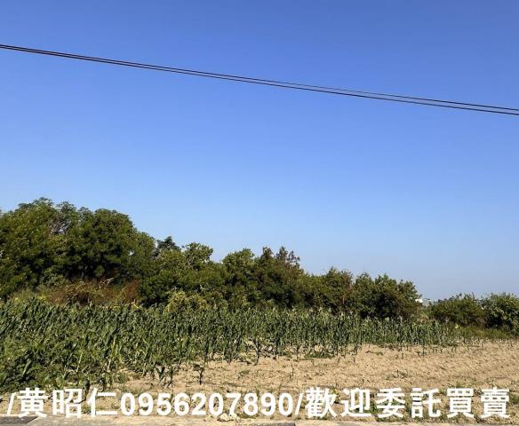 台南安南農地-6