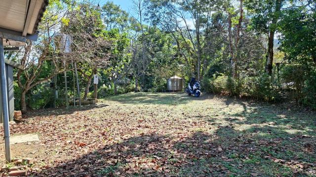 橫山農地_山坡地_林地-11