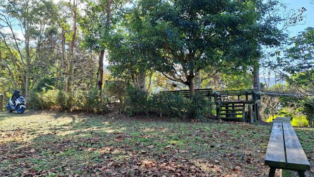 橫山農地_山坡地_林地-12