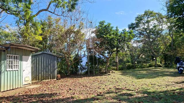 橫山農地_山坡地_林地-13
