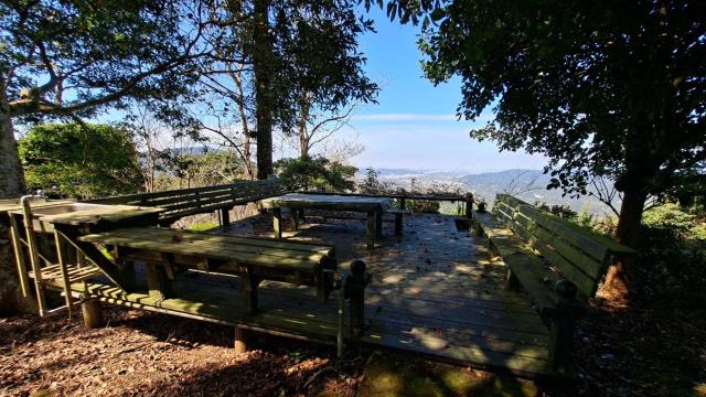 橫山農地_山坡地_林地-14