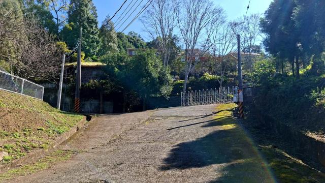 橫山農地_山坡地_林地-2