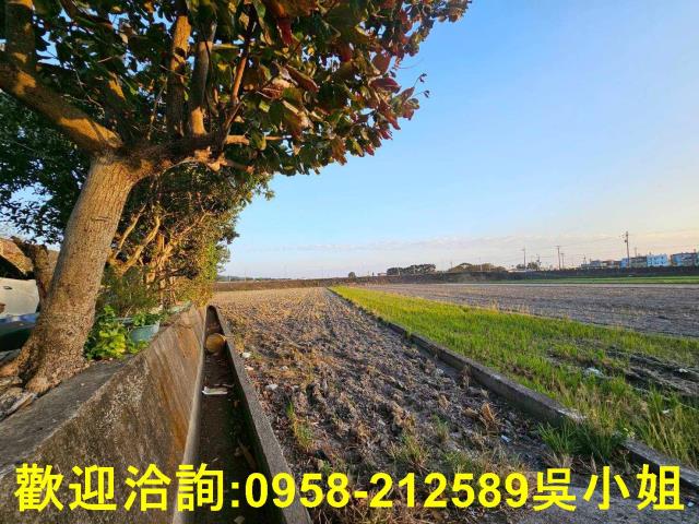 新竹竹北農地-8