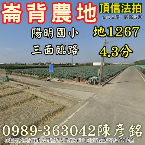 雲林崙背法拍農地-2