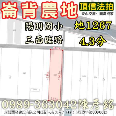 雲林崙背法拍農地-4