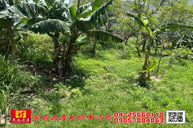 台中大雅農地-4