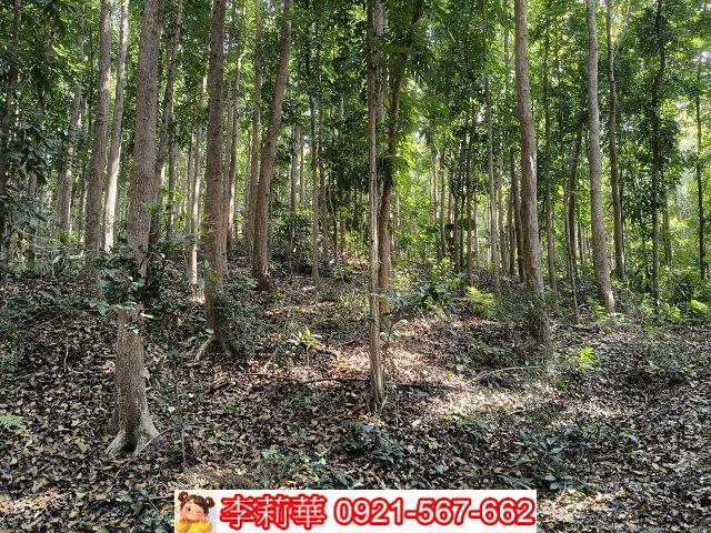 台南龍崎農地-9