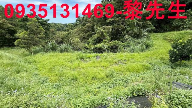 苗栗農地_林地-13