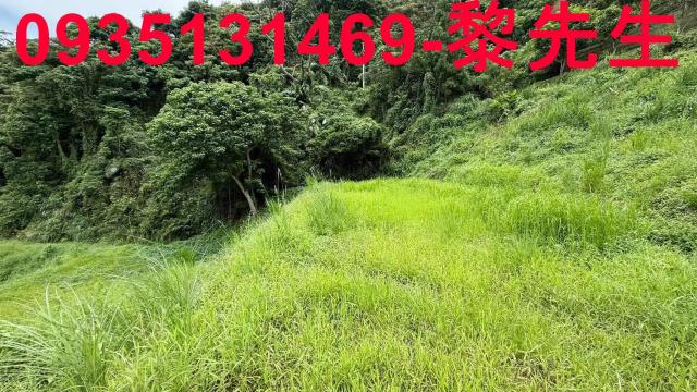 苗栗農地_林地-15