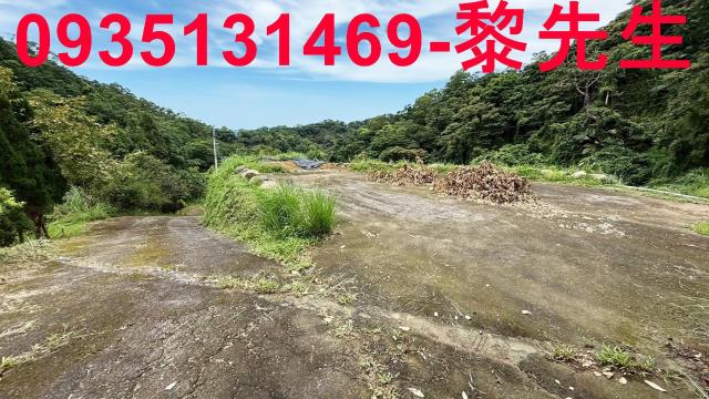 苗栗農地_林地-4