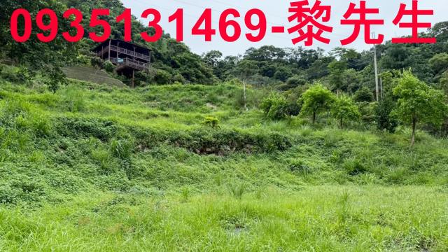 苗栗農地_林地-5