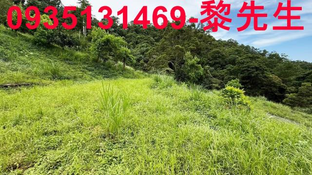 苗栗農地_林地-6