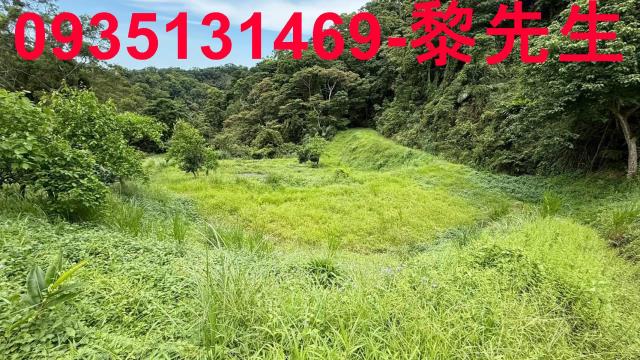 苗栗農地_林地-1