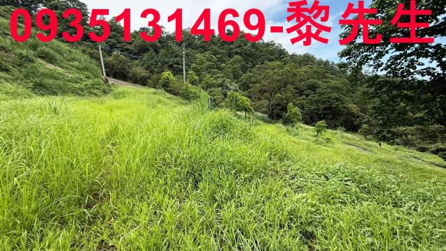 苗栗農地_林地-9