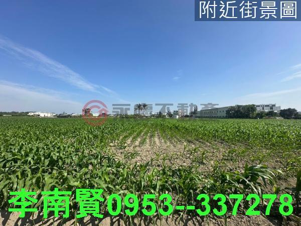 台南安定農地-6