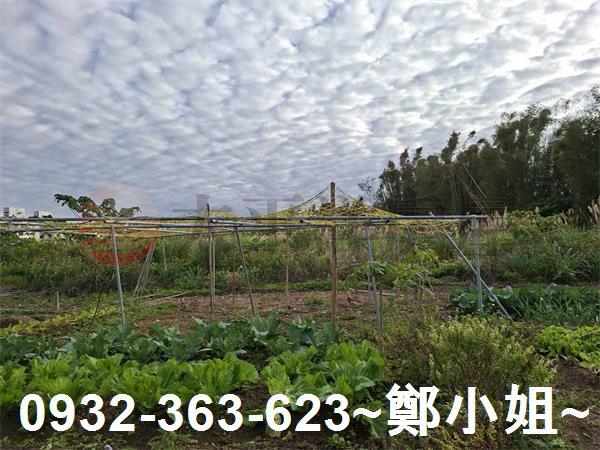 桃園大溪農地-4