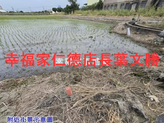 台南麻豆農地-12