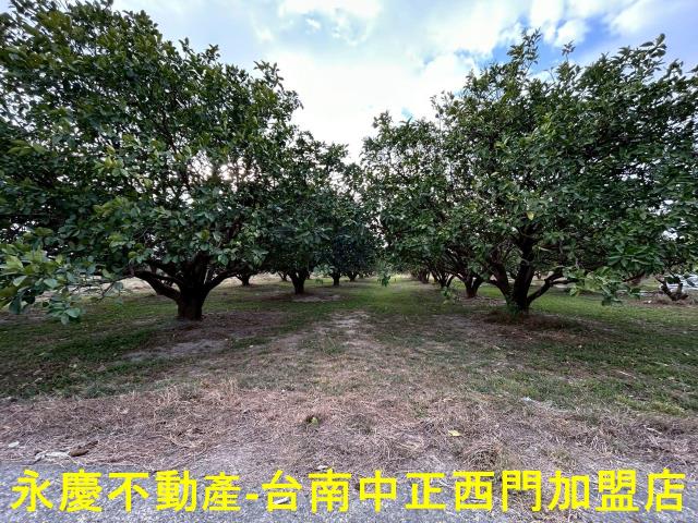 台南麻豆農地-3