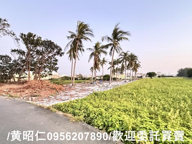 台南仁德農地-5
