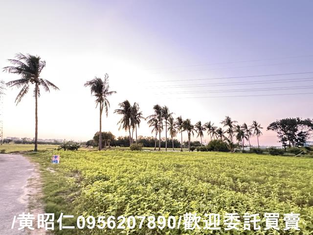 台南仁德農地-7