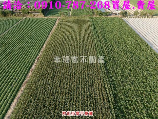 柳營農地-6