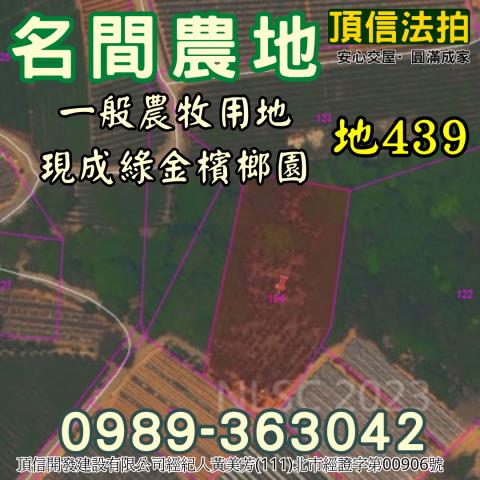 南投名間法拍農地-3