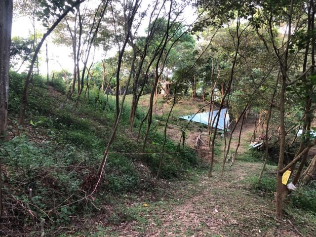 台中太平農地_山坡地-10