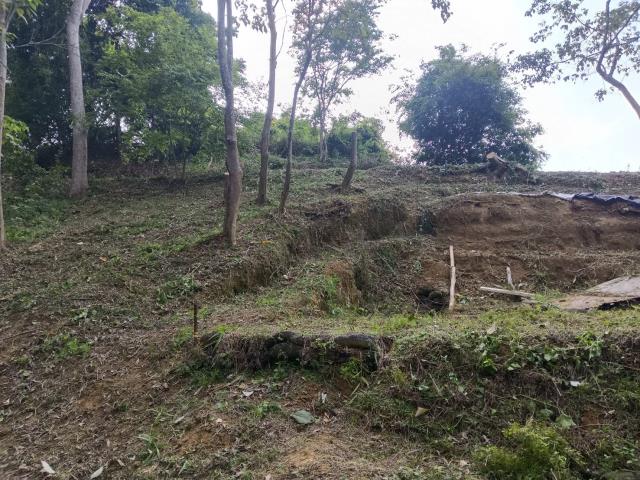 台中太平農地_山坡地-11