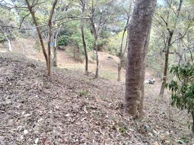 台中太平農地_山坡地-13