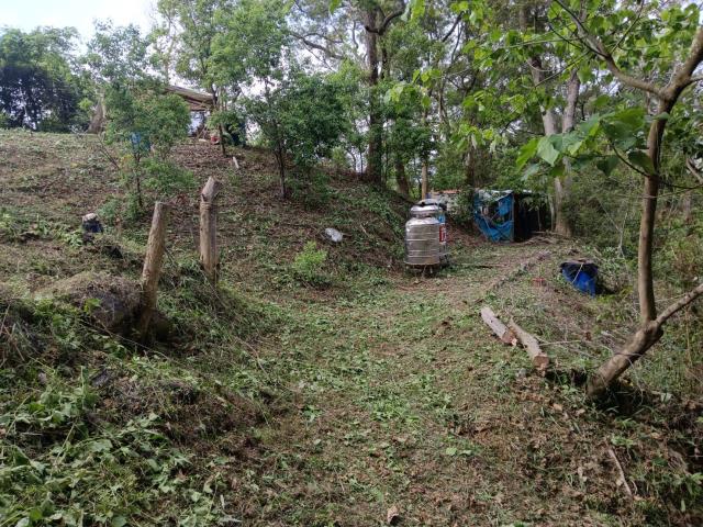 台中太平農地_山坡地-14