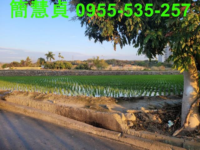 南投草屯農地-6