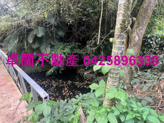 苗栗卓蘭農地-10