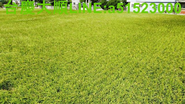 新豐農地-4