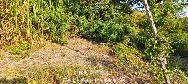 台南農地-3