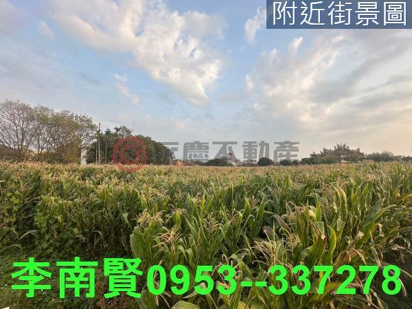 台南農地-7
