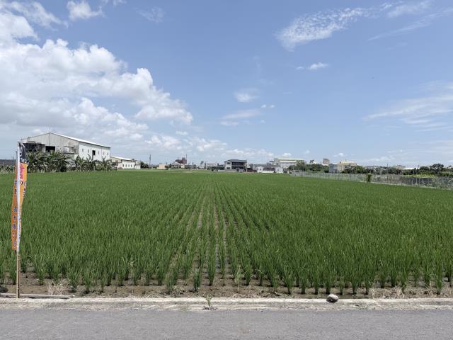 彰化農地-1