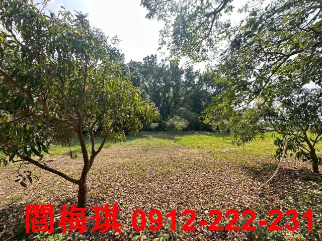台南楠西農地-2