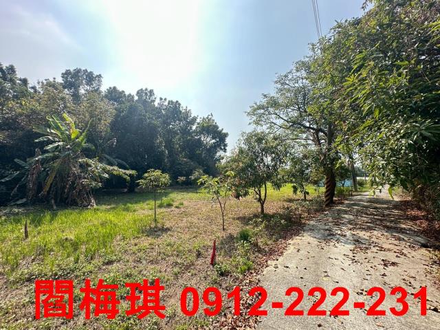 台南楠西農地-8