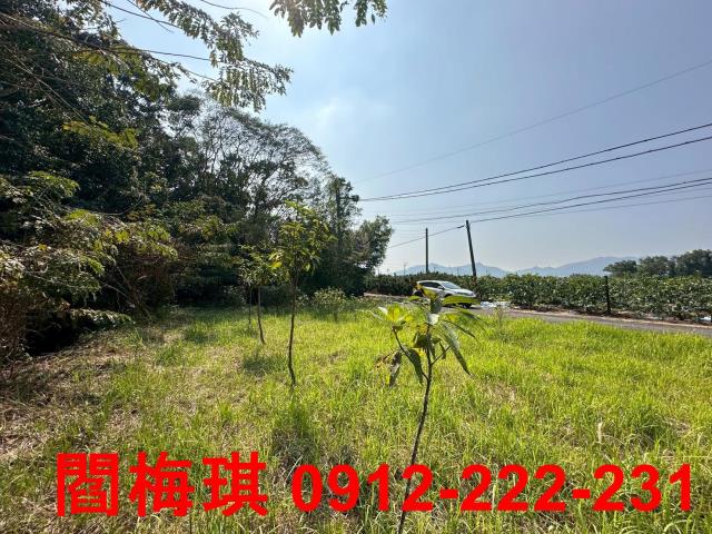 台南楠西農地-6