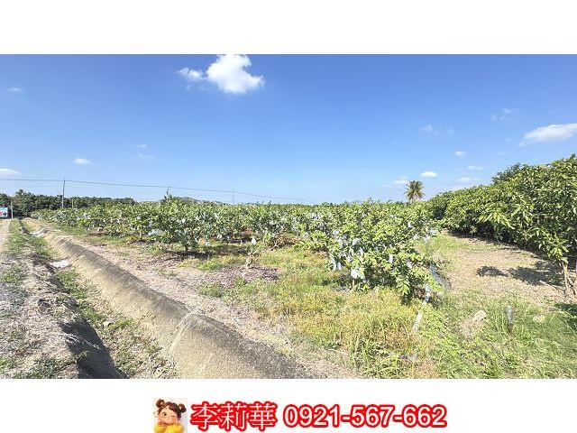 台南玉井農地-10