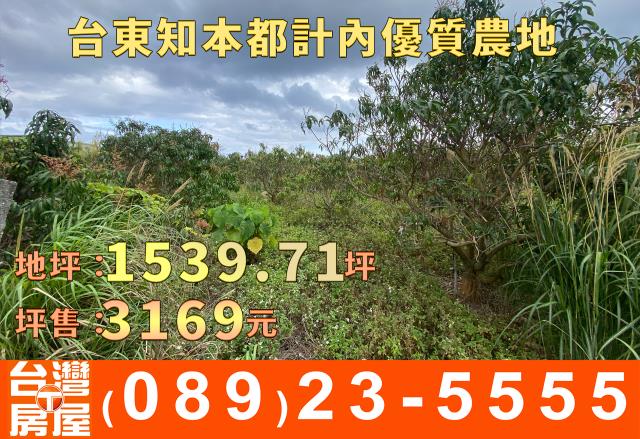 台東台東市農地-10