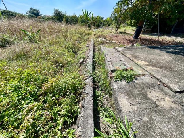 屏東高樹農地-5