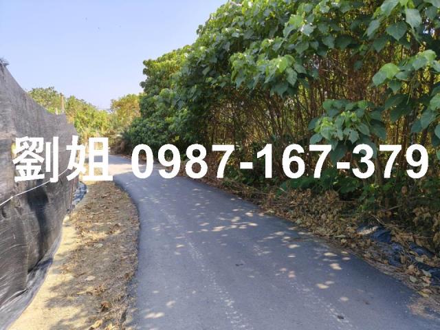 高雄旗山農地-2