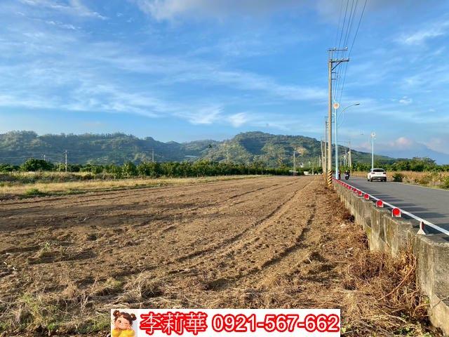 台南農地-6