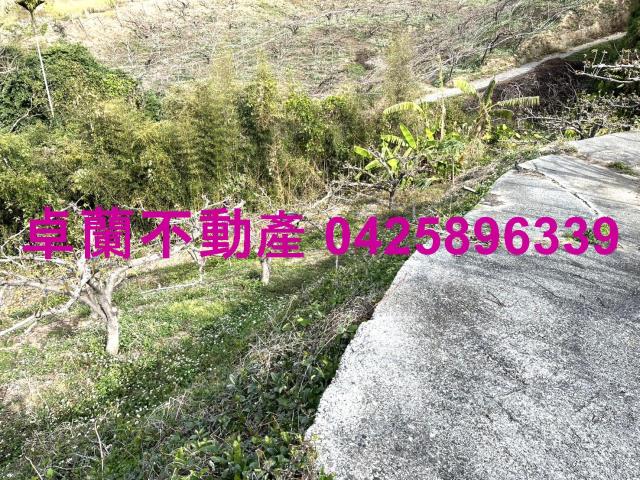 苗栗卓蘭農地-7